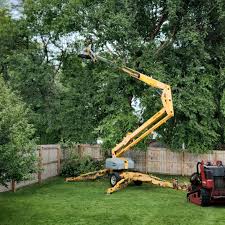 Best Lawn Disease Treatment  in Beattystown, NJ
