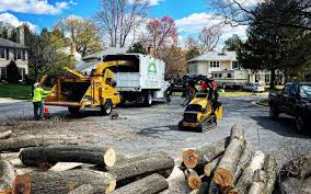 Best Tree Preservation Services  in Beattystown, NJ