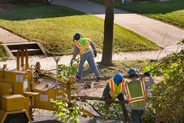 Best Tree Mulching  in Beattystown, NJ