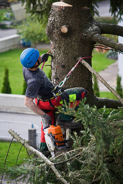 Best Utility Line Clearance  in Beattystown, NJ